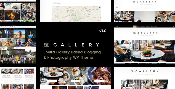 Gallery v1.0.5 &#8211; Blogging &amp; Envira Gallery WordPress Theme