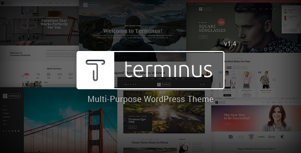 Terminus v1.4.3 &#8211; Multi-Purpose WordPress Theme